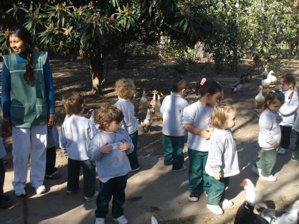 Visitamos la granja «Casita de miel» #1922