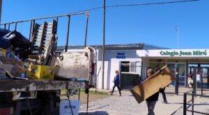 día nacional del árbol